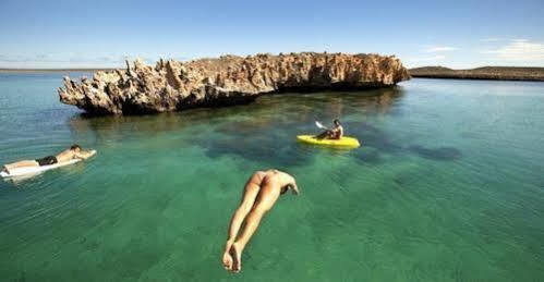 Dirk Hartog Island Eco Lodge デンハム エクステリア 写真